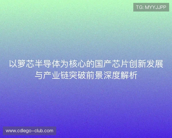 以箩芯半导体为核心的国产芯片创新发展与产业链突破前景深度解析